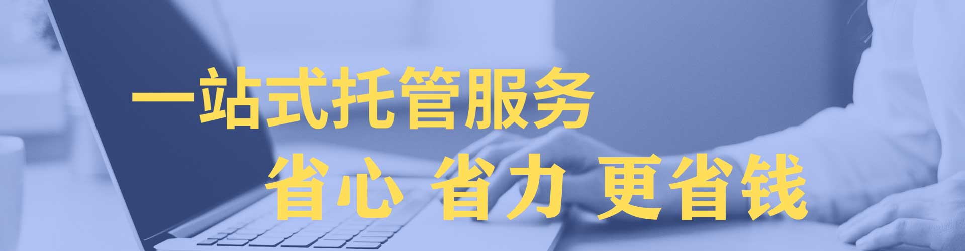 赣县竞价托管